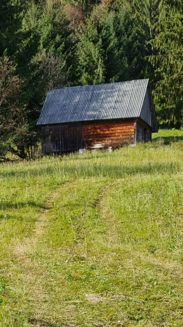 Terreno para construção À venda - 517680 Scărisoara  RO Image 1